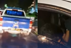 Mobil Dinas Propam Tapsel Dipakai Pacaran? Viral Usai Tabrak Lari dan Tutupi Wajah