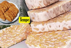 Jangan Sampai Sia-sia? Tempe Sumber Protein Nabati yang Kaya Manfaat, Begini cara Mengolah yang Benar