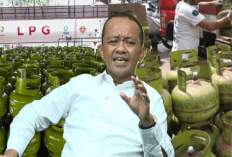 Warga Protes Stok Gas LPG 3 Kg Kosong di Pangkalan, Bahlil: Jangan Dikira Menteri Gak Kerja!