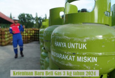 Tidak Lagi Bebas, Beli Elpiji 3 kg Wajib Pakai KTP mulai 1 Juni 2024, Cek Prosedurnya!