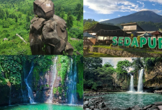 Cuss Jalan-Jalan Keliling Tegal! Eksplor Goa Lawa, Curug Sibedil, Sedapur Strawberry & Curug Bengkawah