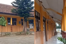 Waduh! 33 SD Negeri di Temanggung Hanya Punya Murid Baru di Bawah 5 Anak, Ada Apa?