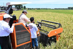 Gudang Bulog Full! Stok Beras Pecah Rekor 57 Tahun Sejak Zaman Soeharto