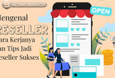 Omset hingga 20 Juta ? Panduan Menjadi Reseller Sukses: Tips Memilih Produk, Kolaborasi dengan Influencer