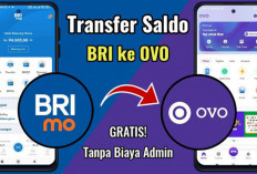 Cara Mudah Transfer Saldo BRI ke OVO Melalui BRImo, Tanpa Biaya Admin!