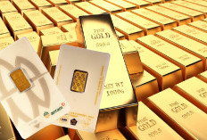 Baru Naik, Langsung Tersungkur! Emas Antam Kayak Roller Coaster, Sekarang Dijual Segini!