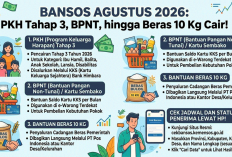 Bansos Agustus 2026: PKH Tahap 3, BPNT dan Beras 10 Kg Cair, Cek Status Penerima Lewat HP