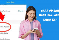 Ternyata Begini Cara Pinjam DANA Paylater Tanpa KTP dengan Limit Puluhan Juta, Syaratnya Cuma...