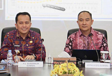 Pertumbuhan Ekonomi Sumsel Tahun 2023 Tertinggi Kedua di Pulau Sumatera