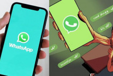 Centang Biru Dimatikan? Gini Cara Tahu WA Kamu Sudah Dibaca Tanpa Read Receipt