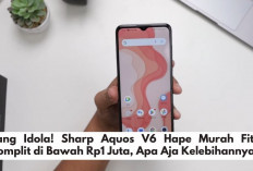 Sang Idola! Sharp Aquos V6 Hape Murah Fitur Komplit di Bawah Rp1 Juta, Apa Aja Kelebihannya? 