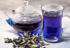 Sudah 40 Tahun ke Atas? Coba Resep Bunga Telang yang Bikin Kolesterol Auto Turun