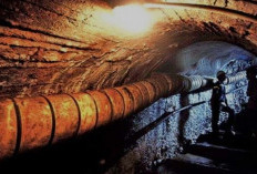 Tambang Batubara Masuk Warisan Budaya Dunia. Ini 5 Potret Situs Diakui UNESCO! 