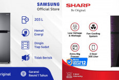 3 Rekomendasi Merek Kulkas 2 Pintu Terbaik 2025: Hemat Listrik, Awet, dan Kapasitas Besar! 