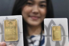 Harga Emas Antam Makin Terjun Bebas! Nyaris Tembus di Bawah Rp1,9 Juta per Gram, Serbu atau Tunggu?
