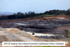 Waduh! Kerusakan Lingkungan akibat Aktivitas Penambangan Tak Main-main, BPK Ungkap Luas Arealnya Capai Segini!