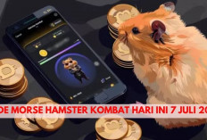 Gas Bos! Kode Morse Hamster Kombat 6 Juli 2024 Hari ini Sudah Keluar, Gercepin Klaim Sekarang Kuy... 