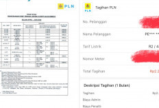 Heboh Tagihan Listrik Membengkak Jadi Rp3,3 Juta, Benarkah PLN Naikkan Tarif?