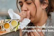 6 Tanaman Herbal Ampuh Atasi Flu dan Batuk yang Jarang Diketahui Orang