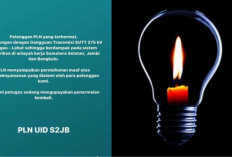 Waduh! Listrik di Sumsel, Bengkulu dan Jambi Padam, PLN Beri Penjelasan Ini