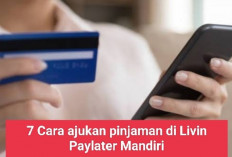 7 Cara Mendapatkan Pinjaman Livin Paylater Mandiri Hingga Rp20 Juta dan Cicilan Bunga 0 Persen, Begini Caranya