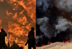 Ngeri! Titik Baru Api Kebakaran di Los Angeles Meluas Sampai 9.400 Hektar 