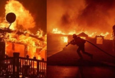 Kebakaran Los Angeles Hanguskan 15.000 Hektare, Lebih Luas dari Paris