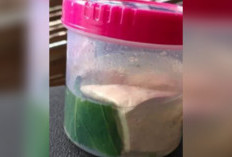 Tak Masuk Akal! Anggaran Stunting Rp 4,4 Miliar, Beri Makanan Anak Sup Tahu dan Sawi, Apakah Bergizi?