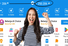 Modal 0 Rupiah Bisa Klaim Saldo DANA Gratis Rp250.000/hari Selesaikan 3 Misi di Aplikasi Penghasil Uang 2025