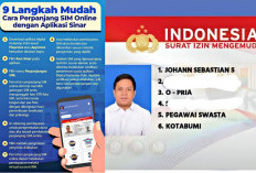Cuma dari HP! Perpanjang Sim Online Nggak Ribet 'Anti Pungli' ini Syarat dan Biaya...
