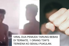 Tragis! Kronologi Tarung Bebas di Ternate Maluku Utara: Pemuda Tewas dengan Sekali Pukulan