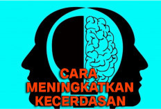 Berikut 5 Kebiasaan Penting yang Dapat Meningkatkan Kecerdasan Seseorang, Simak Disini!