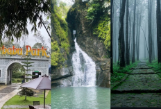 Liburan Seru di Alam! Merbabu Park, Air Terjun Ngedat, dan Kalipasang yang Pasti Kamu Suka