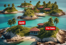 Heboh Skandal 5 Pulau Indonesia Dijual Online, Netizen Ngamuk: Pengkhianat Negara Wajib Digantung!