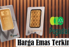 Rebound Tajam! Emas Antam di Pegadaian Hari Ini Tembus Rp1,72 Juta, Saatnya Jual atau Tunggu?