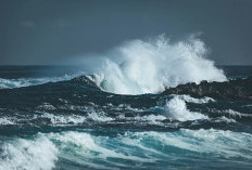 Waspada! Gelombang Tinggi Capai 6 Meter di Laut Selatan, Begini Imbauan BMKG Bagi Pelayaran dan Wisatawan!