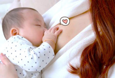 Teknik Ini Bikin ASI Jadi Lancar! Yuk, Jaga Kesehatan Ibu dan Bayi, Berikut Panduannya