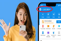 CIHUY! Ditransfer Saldo DANA Gratis Rp500.000 Hari Ini, Buruan Tukar Poin dari Aplikasi Penghasil Uang Berikut