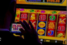 Darurat! DPRD Usulkan Pembangunan RS Khusus Pecandu Judi Online, Marak Mengalami Gangguan Mental.. 