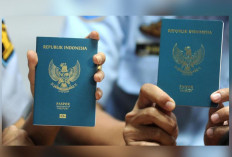 Paspor Merah Putih Ditunda, Imigrasi Alihkan Fokus ke Layanan Publik dan Digitalisasi