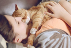 Apa Manfaat Tidur Bersama Hewan Peliharaan? Ternyata Dapat Membantu Menyembuhkan Insomnia Loh...