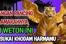 Inilah 10 Weton yang Dipilih Khodam Harimau: Pemiliknya Penuh Wibawa dan Rezeki Deras