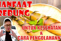 8 Manfaat Kesehatan dari Rebung dan Resep Masakan Spesial: Menggali Khasiat dari Alam untuk Meja Makan!