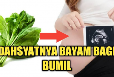 7 Manfaat Sayur Bayam Bagi Ibu Hamil, Salah Satunya Baik untuk Perkembangan Tulang dan Gigi Janin, Cobain Bun!