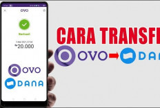 Merapat! 8 Langkah Transfer Saldo OVO ke DANA 2024 dengan Aman, Ini 4 Syarat dan Keuntungannya...