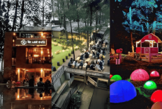 Explore Malam Bogor! Inilah 3 Destinasi Wisata Malam Hits di Bogor: Estetik Banget Buat Healing & Nongkrong