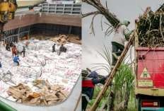 DPR Kritik Tata Niaga Gula, Menteri Perdagangan Diminta Evaluasi Kebijakan Impor Etanol yang Ancam Petani!