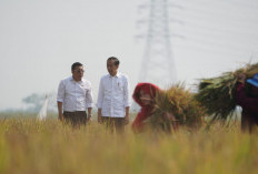  Ini yang Jadi Fokus Plt. Mentan pada Tiga Bulan ke Depan 