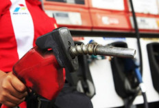 Pertalite dan Solar Aman Sampai Akhir Tahun: Ini Jurus Pemerintah Hadapi Harga Minyak Dunia! 