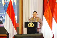Daftar Lengkap Nama dan Wilayah 5 Wakapolda Dimutasi Kapolri